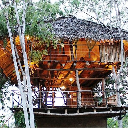 The Saraii Tree Lodge Tissamaharama Exteriér fotografie