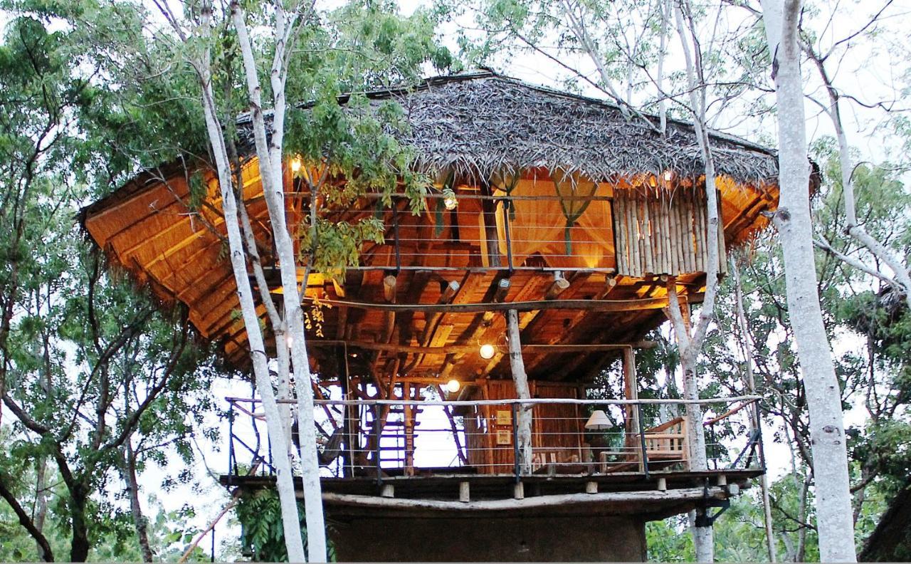 The Saraii Tree Lodge Tissamaharama Exteriér fotografie